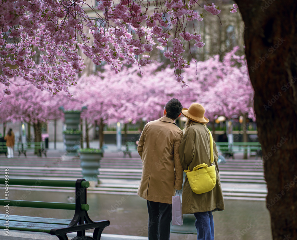 couple walking in the park couple walking in the park