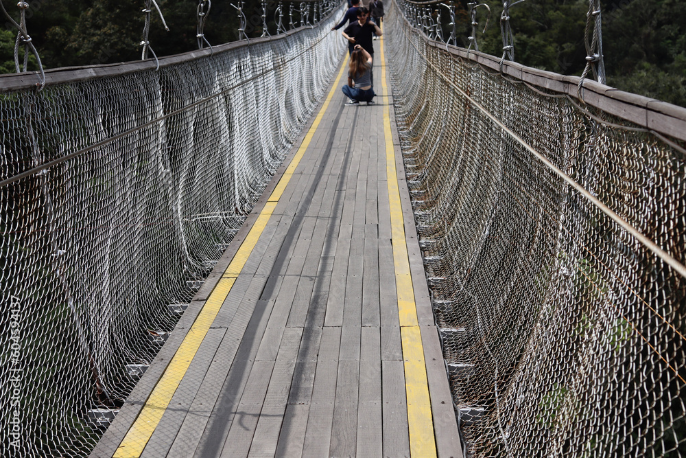 Fototapeta premium suspension bridge structure of wood and steel cables