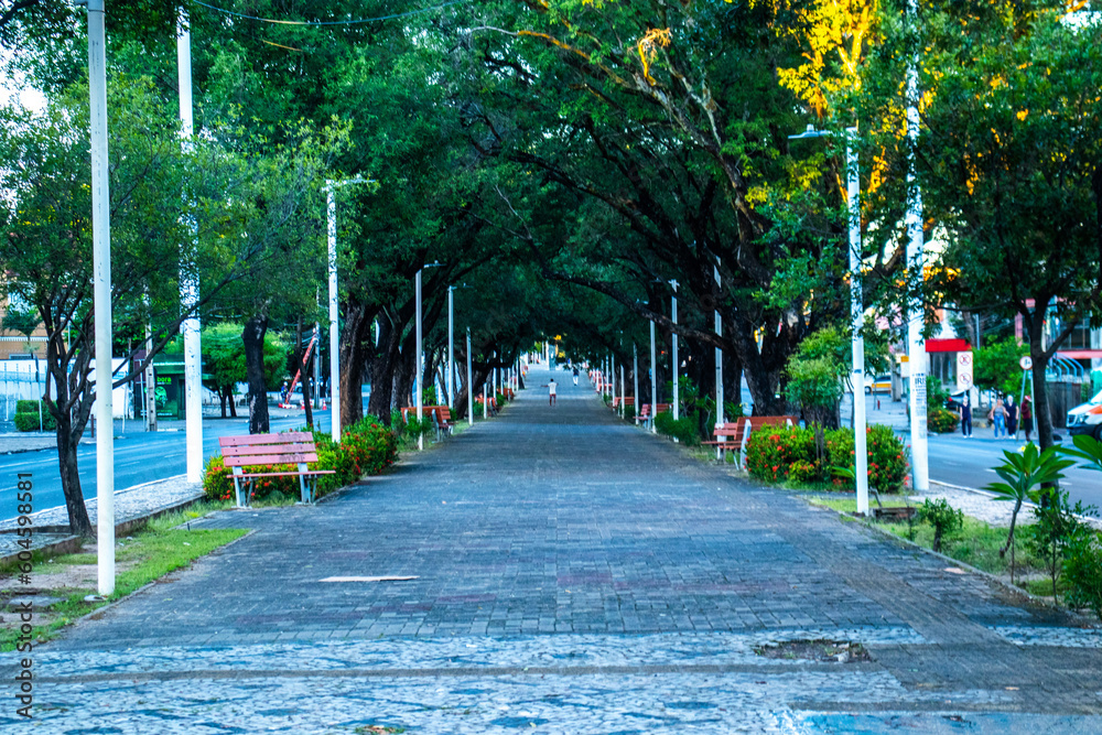 Naklejka premium Canteiro da Frei Serafim - Teresina