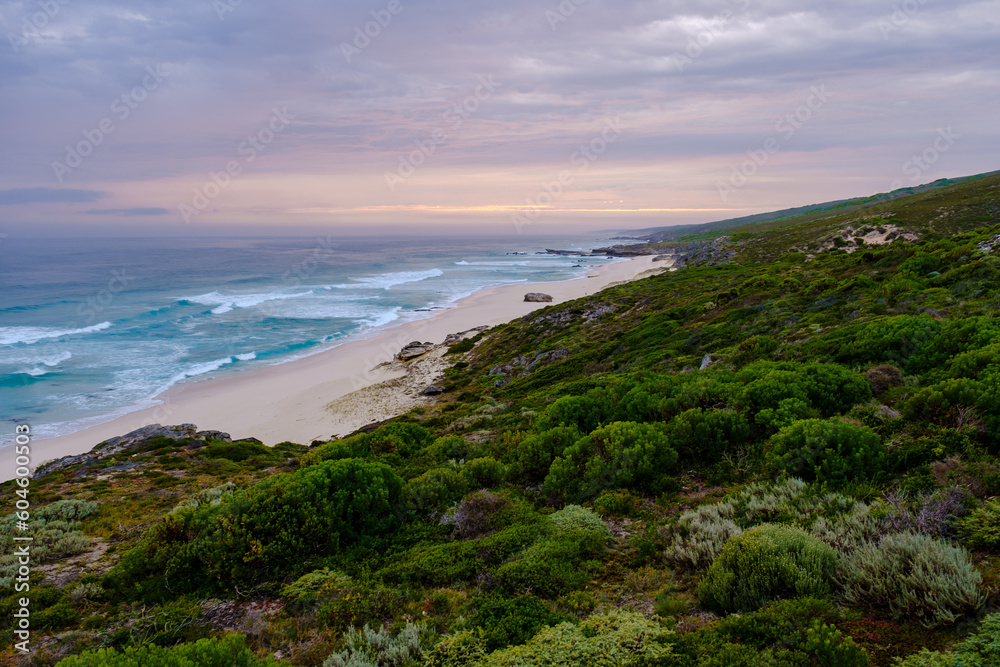 Sunset at De Hoop Nature Reserve South Africa Western Cape, the most beautiful beach in South Africa with the white dunes at the de hoop nature reserve which is part of the garden route during summer
