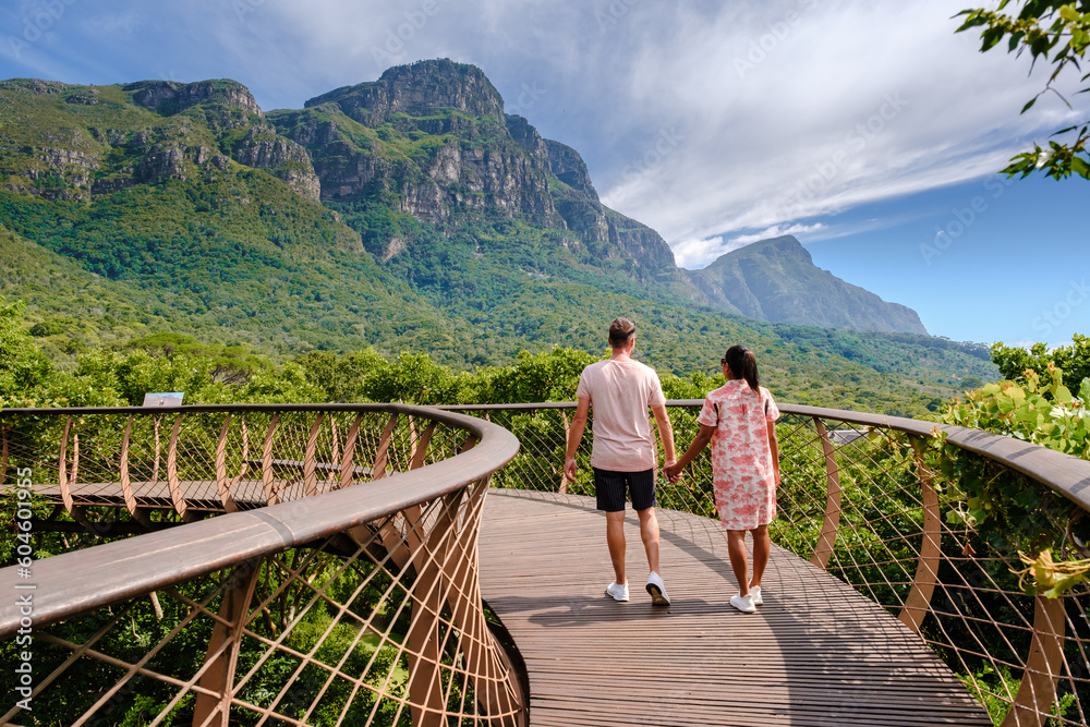 Fototapeta premium couple of men and women walking at the boomslang walkway in the Kirstenbosch botanical garden in Cape Town, Canopy bridge at Kirstenbosch Gardens in Cape Town, built above lush foliage South Africa