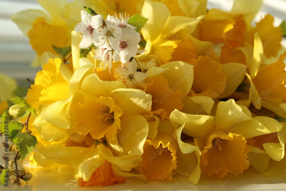 Yellow daffodils and beautiful white flowers of plum tree on table, closeup Yellow daffodils and beautiful white flowers of plum tree on table, closeup