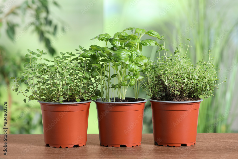 Fototapeta premium Different aromatic potted herbs on wooden table