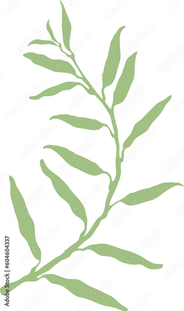 Leaf of floral isolated design