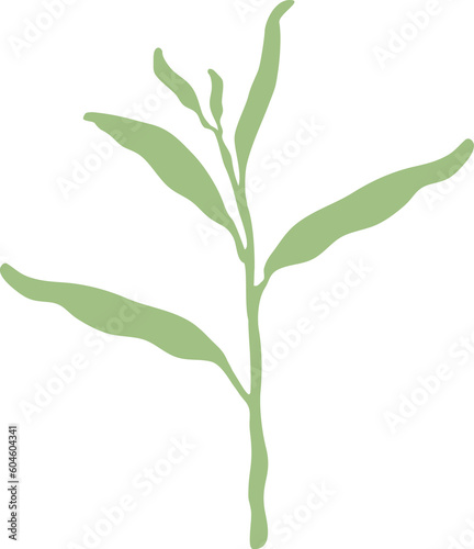 Leaf of floral isolated design
