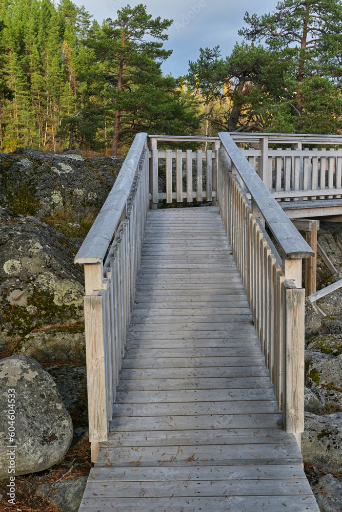 Wooden bridge walkway in the forest