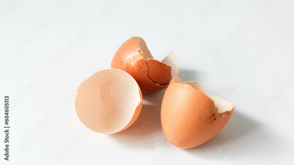eggshell on white isolated background eggshell on white isolated background