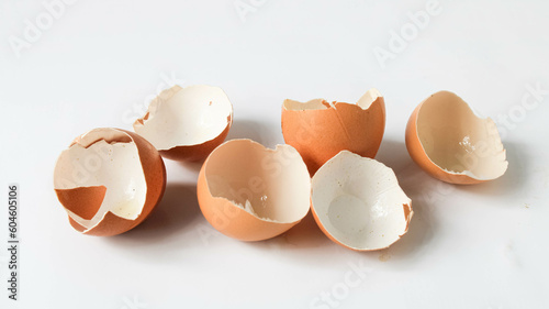 eggshell on white isolated background