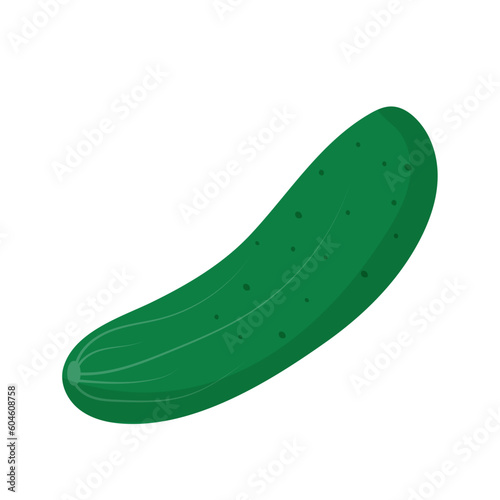 Green cucumber in flat style. Vector illustration of fresh vegetable