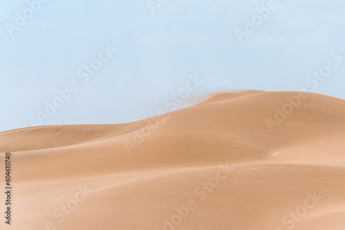 Sand dunes in summer. Sand blown by the strong wind