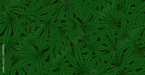 cannabis leaf pattern vector illustration