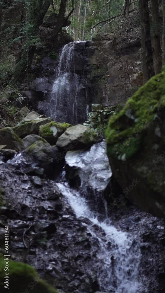 頼光対面の滝　静岡県駿東郡小山町