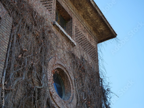 facade with growing plant