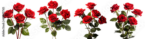 Bunch of red roses flowers on transparent background, Generative AI Technology 