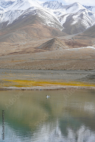 Scene in Himalaya mountain range, view from Ladakh, India