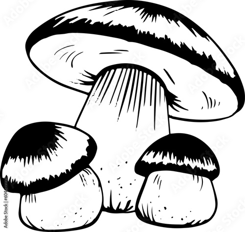 Vector black and white porcini mushrooms doodle style isolated on white background