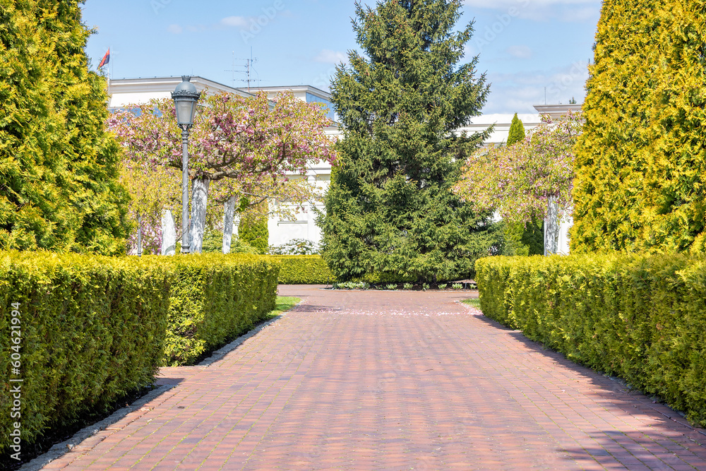 Beautiful paved alley with neatly trimmed bushes and cypresses in early spring.