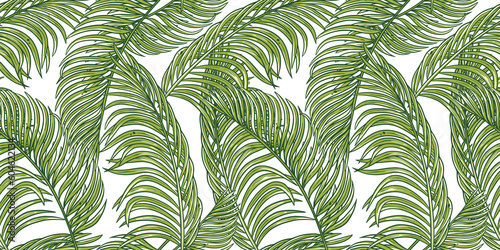 Exotic pattern. Tropical plant for seamless print. Hawaii summer leaves. Palm for tropic surfing design