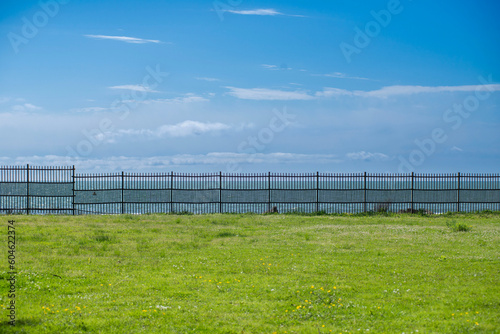 blue sky and a fence in the background