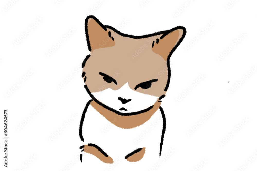 Obraz premium Grumpy cat illustration cartoon flat