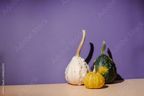 Decorative pumpkins on light orange