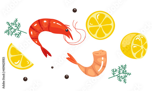 Shrimp prawn food meat raw isolated set concept. Vector graphic design element illustration