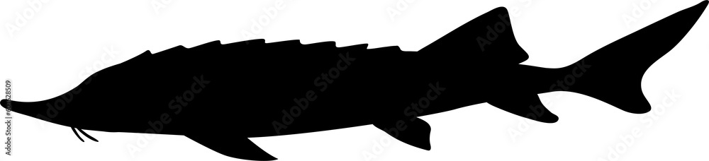fish silhouette fish silhouette