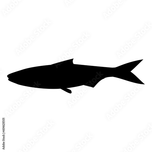 fish silhouette