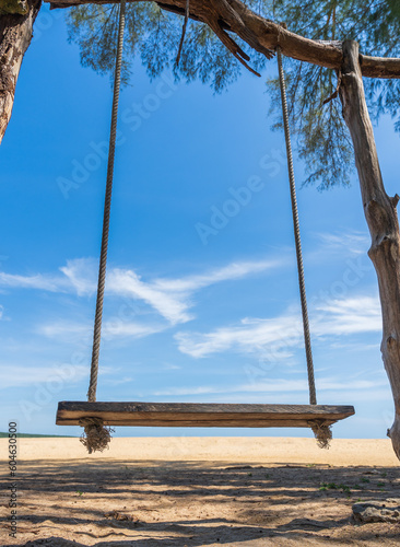 Empty leisure swing vertical on the beach seaside on summer day well space for text tourist promotion  © Nature Peaceful 