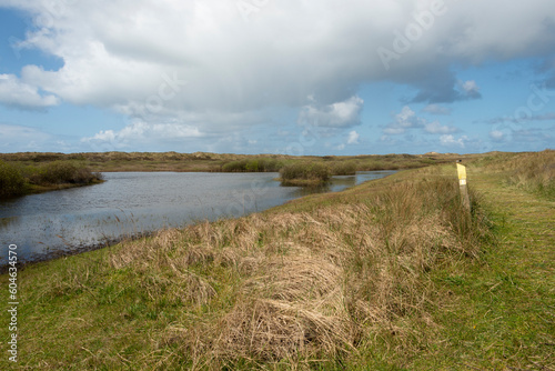 Fototapeta Naklejka Na Ścianę i Meble -  Parc national, Mer des Wadden, île de la Frise, Ile Texel, Pays Bas
