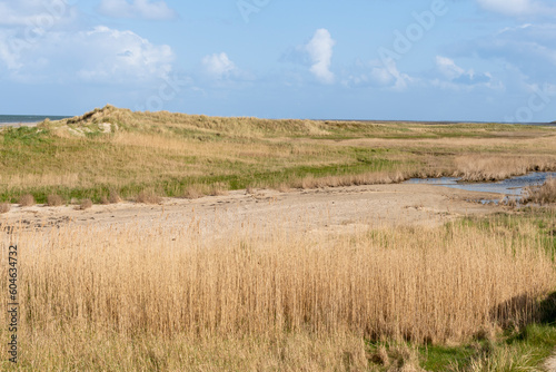 Réserve naturelle, Polder, Mer des Wadden, île de la Frise, Ile Texel, Pays Bas