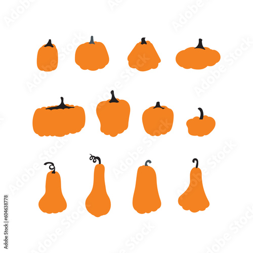 pumpkin autumn collection of colored beautiful. Cartoon pumpkins, halloween squash, fall harvest gourds. Thanksgiving. Pumpkins. Autumn thanksgiving and halloween pumpkins collection. Vector