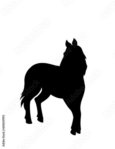 horse silhouette vector