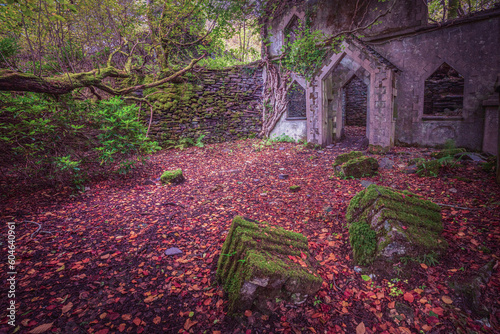 Talysarn Hall Reclaimed by Nature, Abandoned Building at Dorothea Quarry, Snowdonia, Wales photo