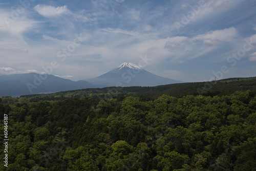 A view of mount fuji