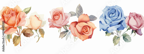 Set of 6 High Detail Watercolor Rose Illustrations (Vector ESP)