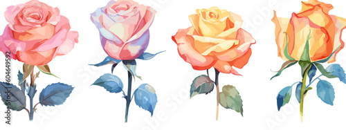 Set of 6 High Detail Watercolor Rose Illustrations (Vector ESP)