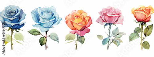 Set of 6 High Detail Watercolor Rose Illustrations (Vector ESP)