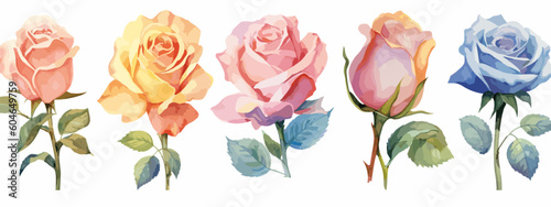 Set of 6 High Detail Watercolor Rose Illustrations (Vector ESP)