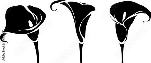 Calla lily flowers. Set of black silhouettes of calla flowers isolated on a white background. Vector illustration