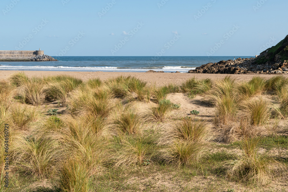Orio Beach. Gipuzkoa, Basque Country Orio Beach. Gipuzkoa, Basque Country