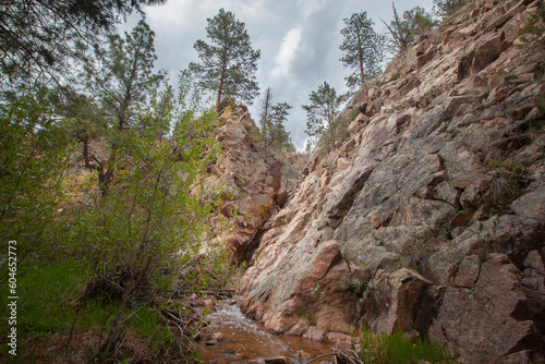 A view of Apache Canyon in Santa Fe National Forest, New Mexico.