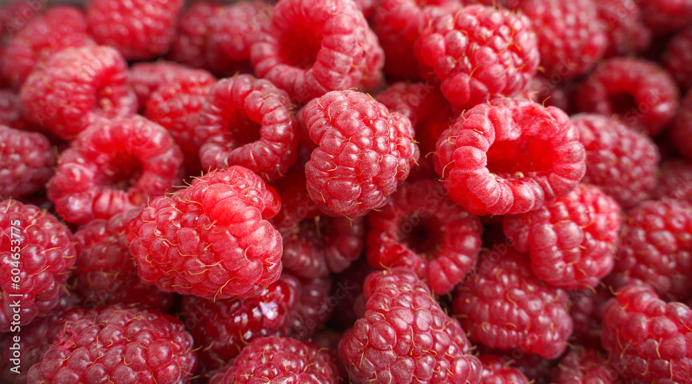 close up of raspberry. background of ripe red raspberries. close up of raspberry. background of ripe red raspberries.