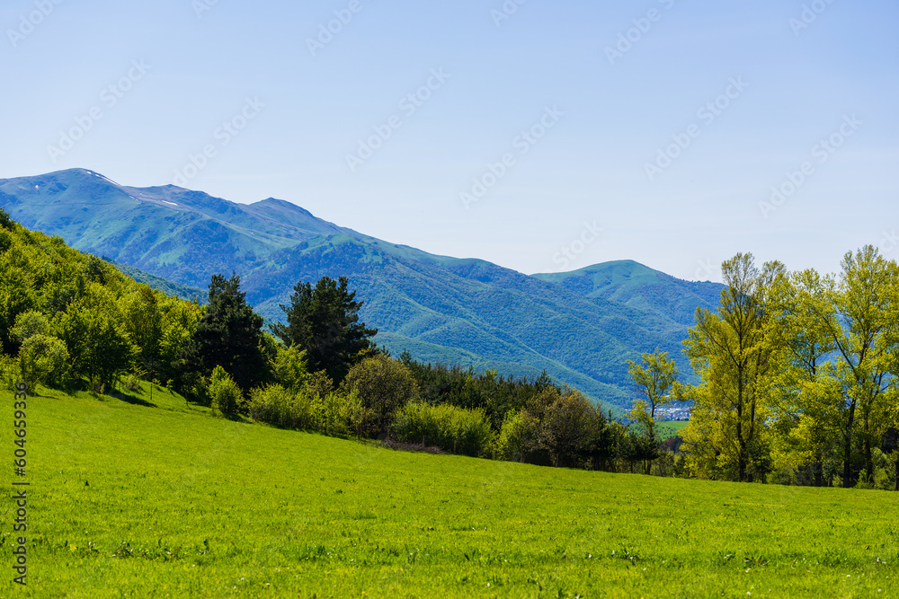 Alpine landscape with green trees and meadows, Armenia