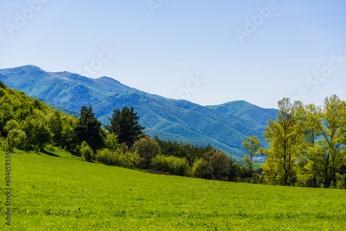 Alpine landscape with green trees and meadows, Armenia