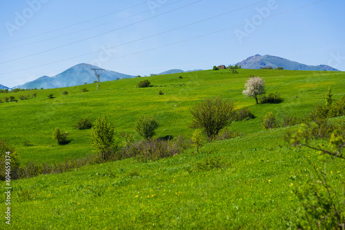 Alpine landscape with green trees and meadows, Armenia