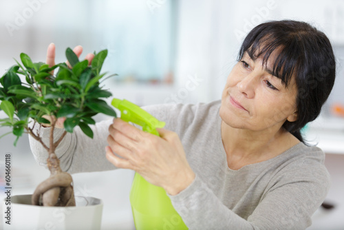 adult female watering domestic plant leaves indoor