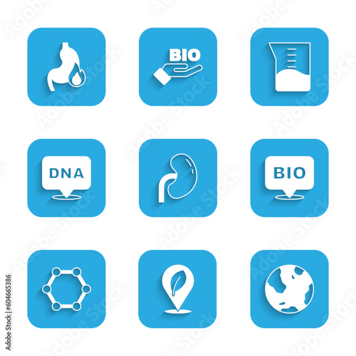 Set Human kidney, Location with leaf, Earth globe, Bio healthy food, Molecule, DNA symbol, Laboratory glassware or beaker and Stomach heartburn icon. Vector