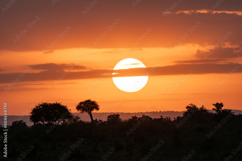Sunrise in the Masai Mara of Kenya Africa, featuring a colorful orange sky and large sun