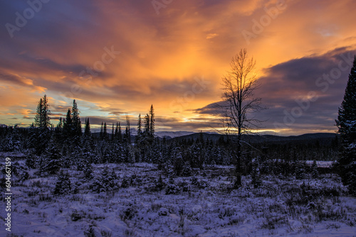 Snow and forest sunset with bright clouds
